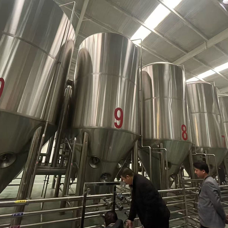 向阳精酿啤酒设备